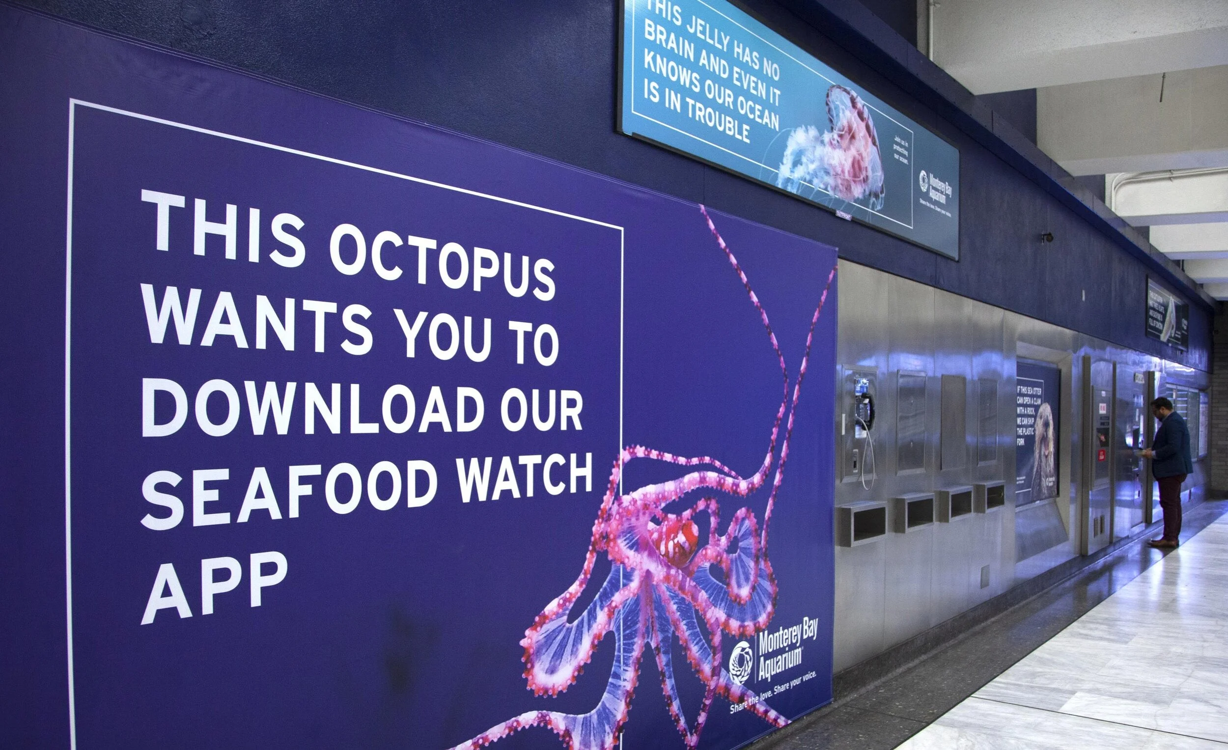 MBA_CivicCenter_Wallscape_Octopus_sm.jpg