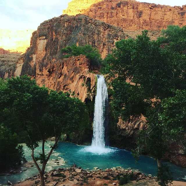 #HavasuCreek is the lifeblood of the #Havasupai Tribe. Its flow sustains the awesome Fifty Foot, Navajo, #Havasu, and Mooney waterfalls that attract hikers from all over the world. The tribe's adoption of #compostingtoilets protects the pristine wate