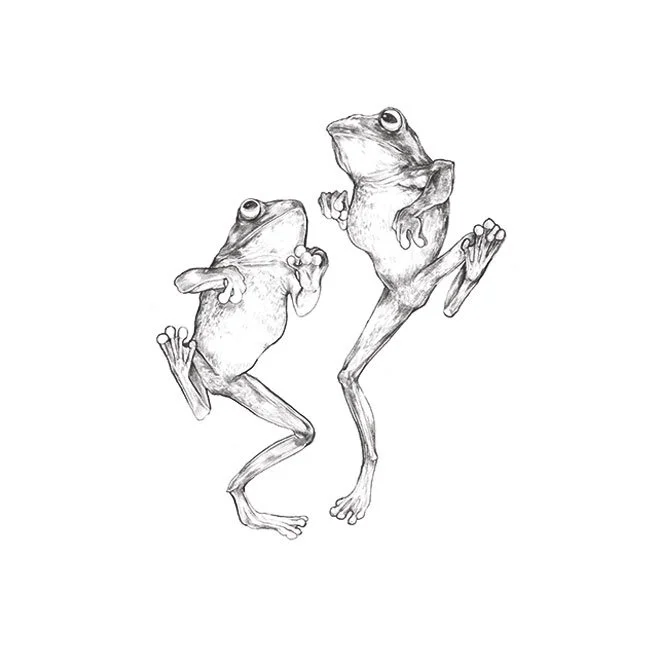 Dancing Frogs