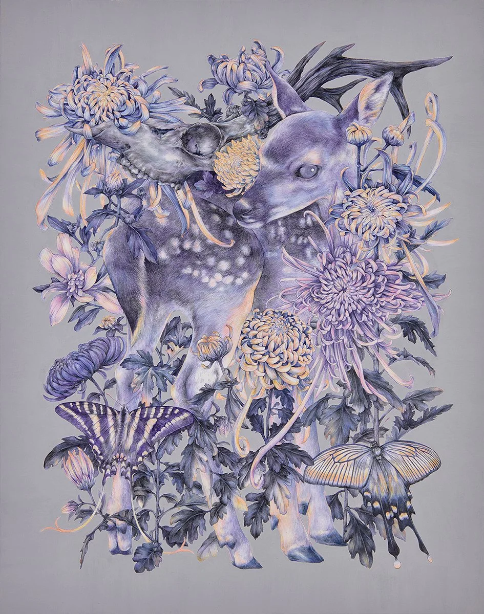 Soulseeker (Chrysanthemum)