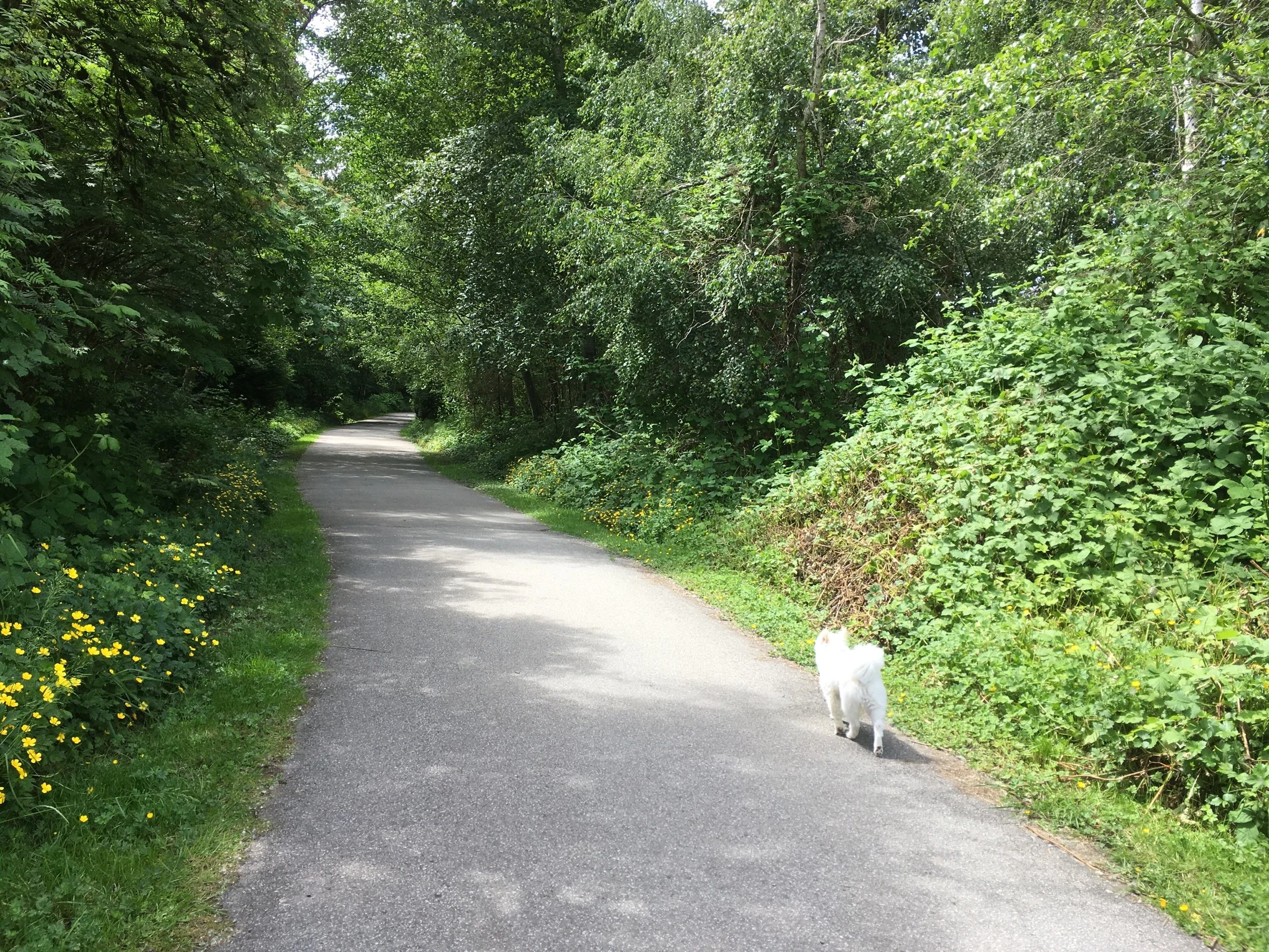 Guest Blogging for Mandira Pattnaik's Blog Site