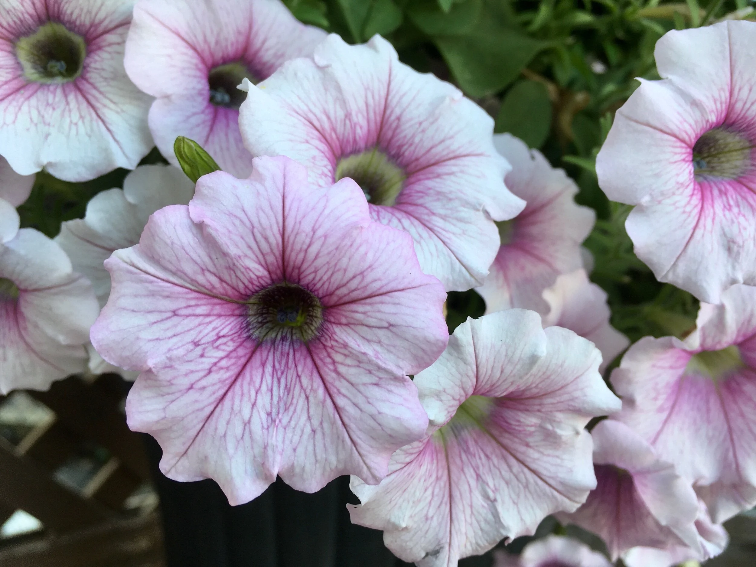 Five Minutes - November 2022