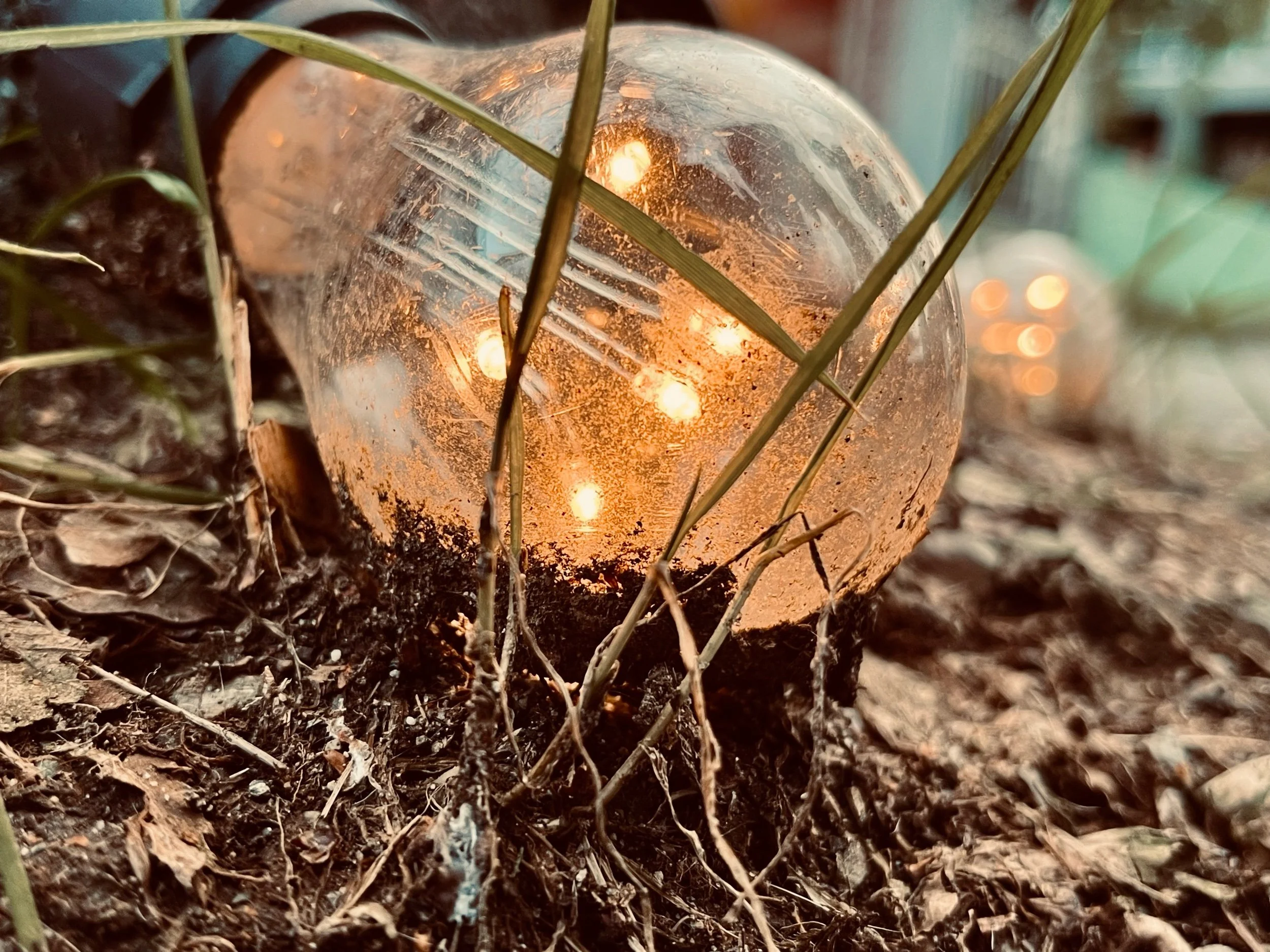 The Time Pirate Who Waits Ashore