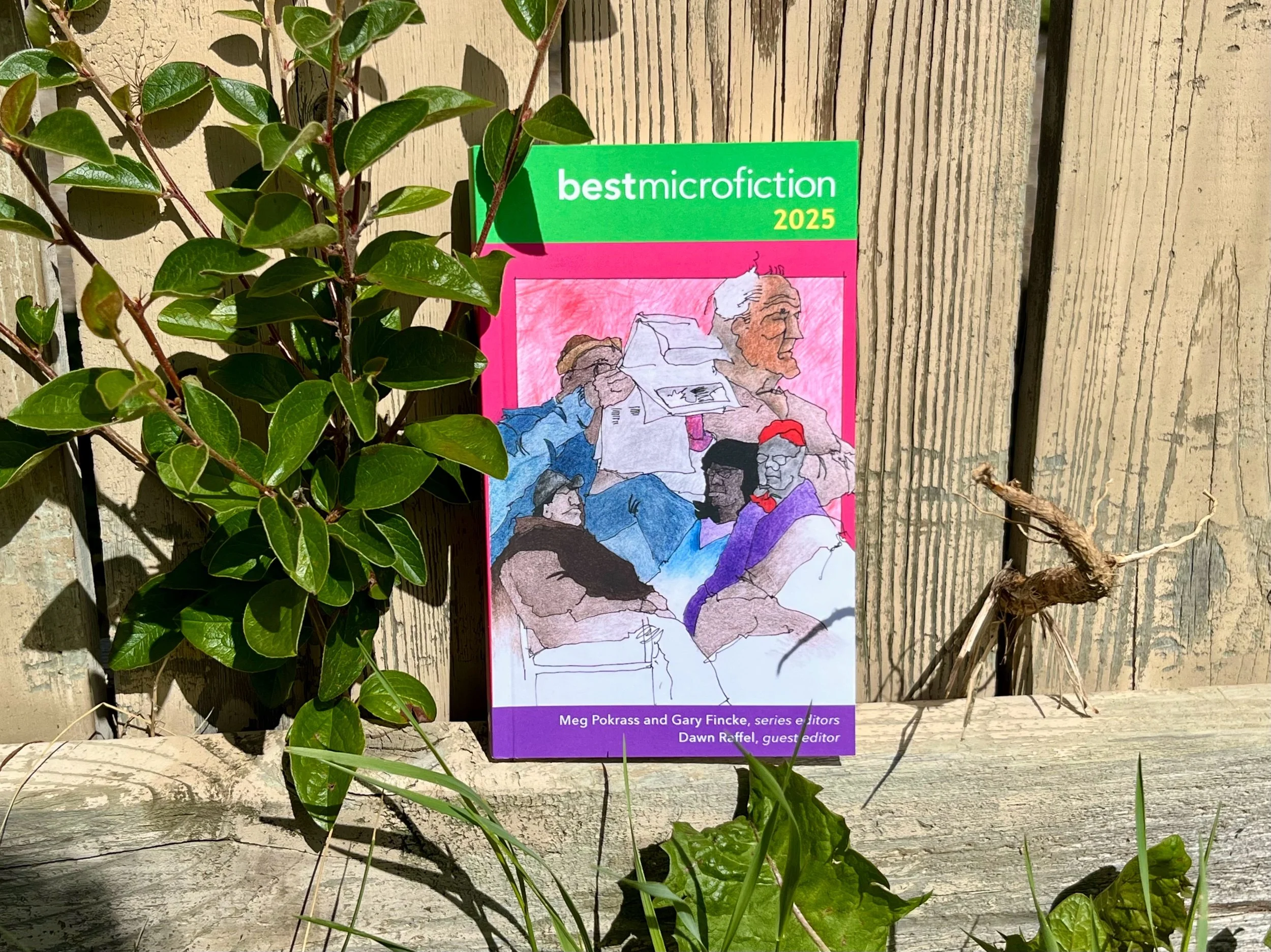 Best Microfiction 2025 Winner!!!
