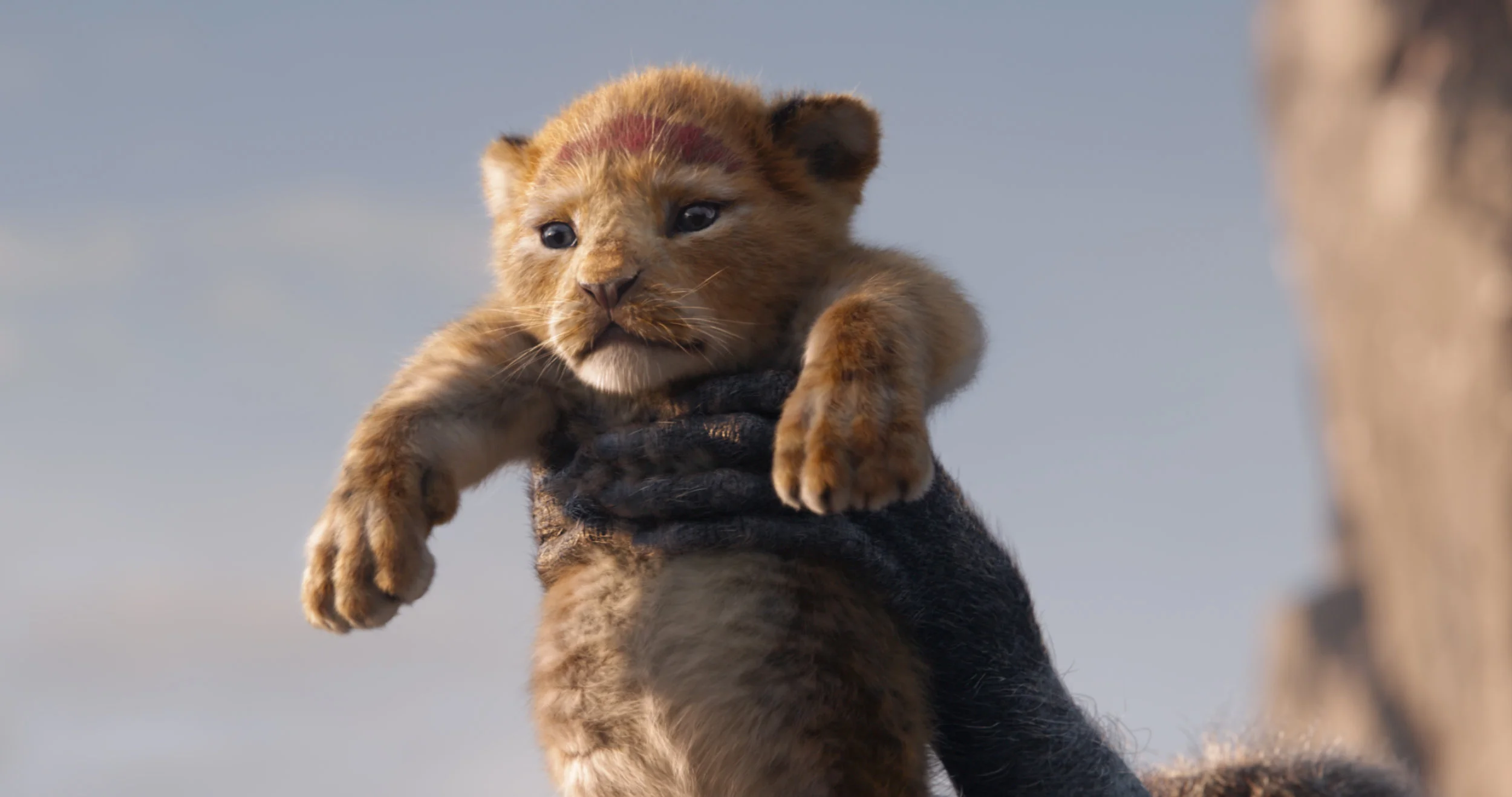 The Lion King.jpg
