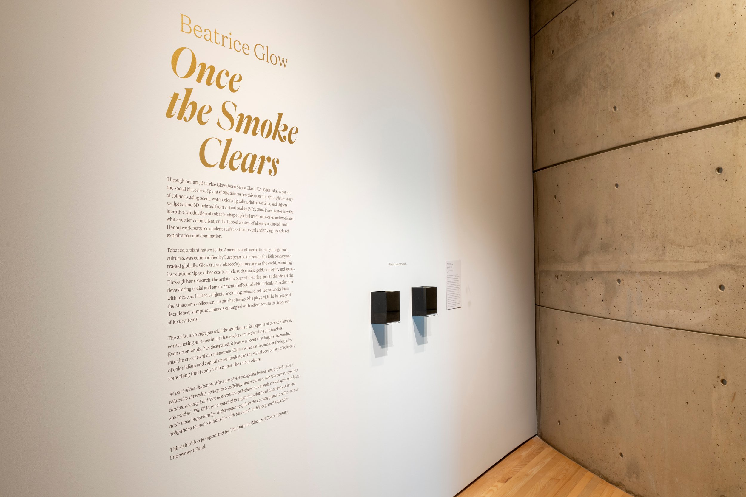 Beatrice Glow: Once the Smoke Clears, The Baltimore Museum of Art, May 15 – October 2, 2022, Photography by Mitro Hood.