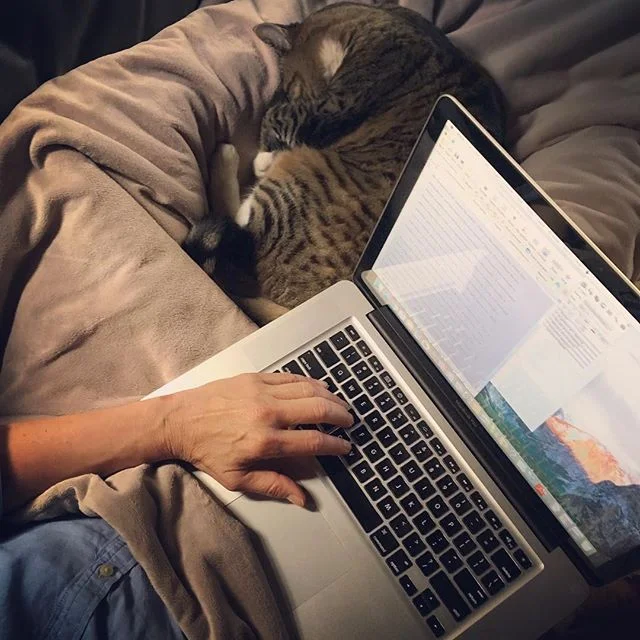 Though I mostly work at my desk...this is my favorite way to work on the rewrite of my book  ##sleepingcatsmakebetterwriters #SNSTmybook #workingtitles #spca