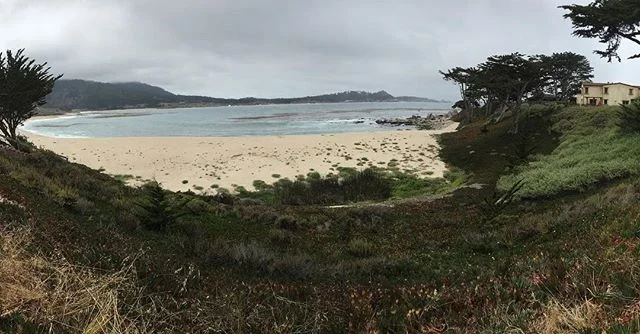 Smoke and fog - day 18