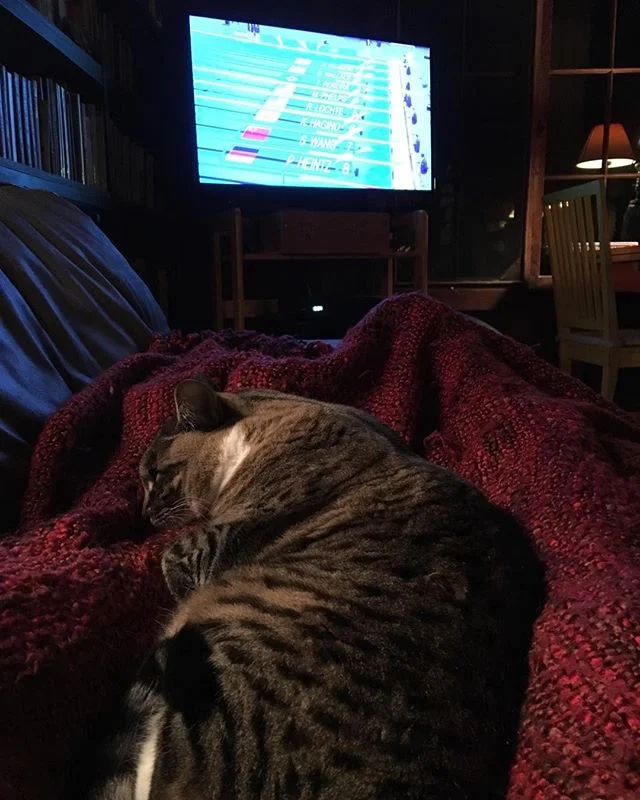 Sophie prefers gymnastics...