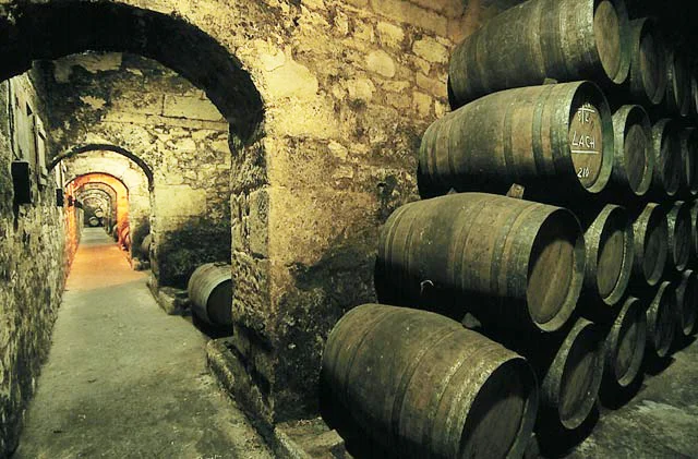 spain-cellar.jpg