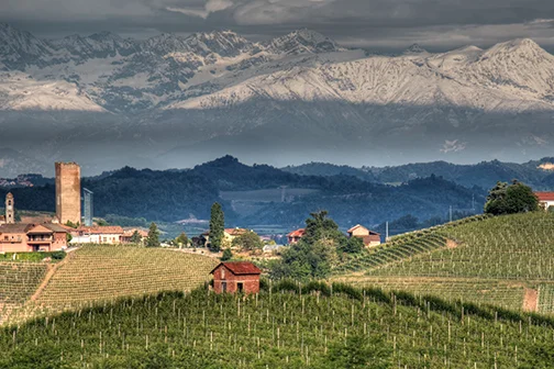 Piedmont-edit.jpg