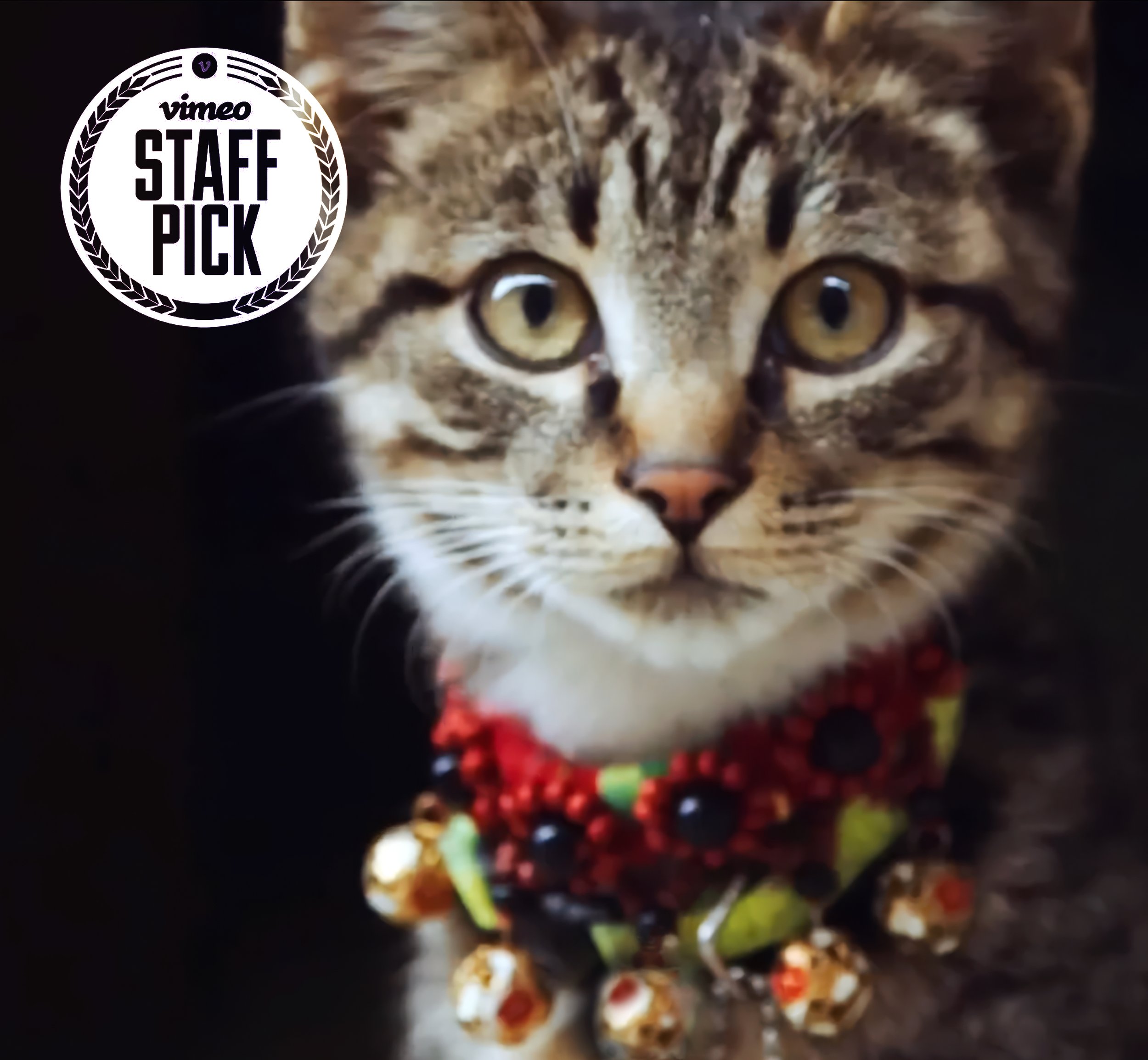 Shanghai Forever Thumbnail Cover Cat.jpg