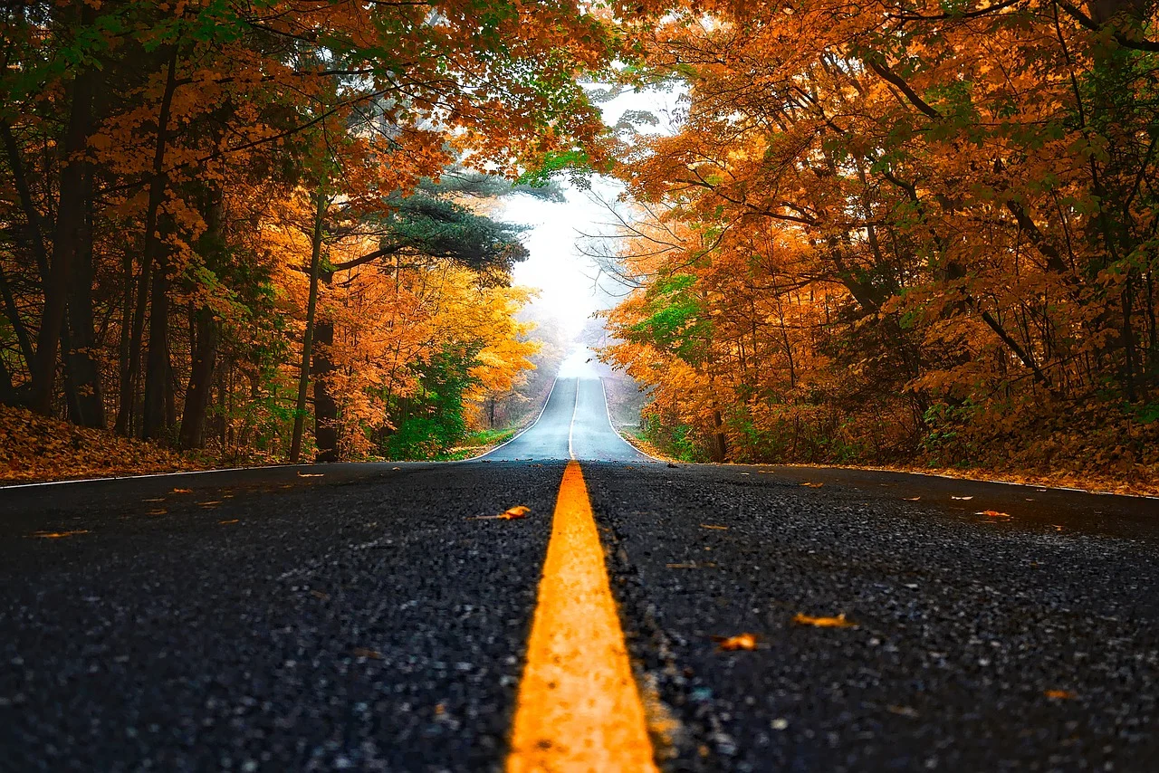 autumn-1758194_1280.jpg