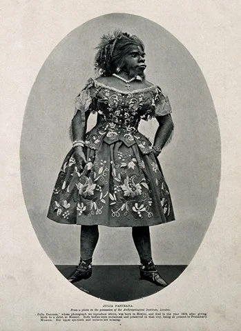 Las aventuras y desventuras de la gran Miss Julia