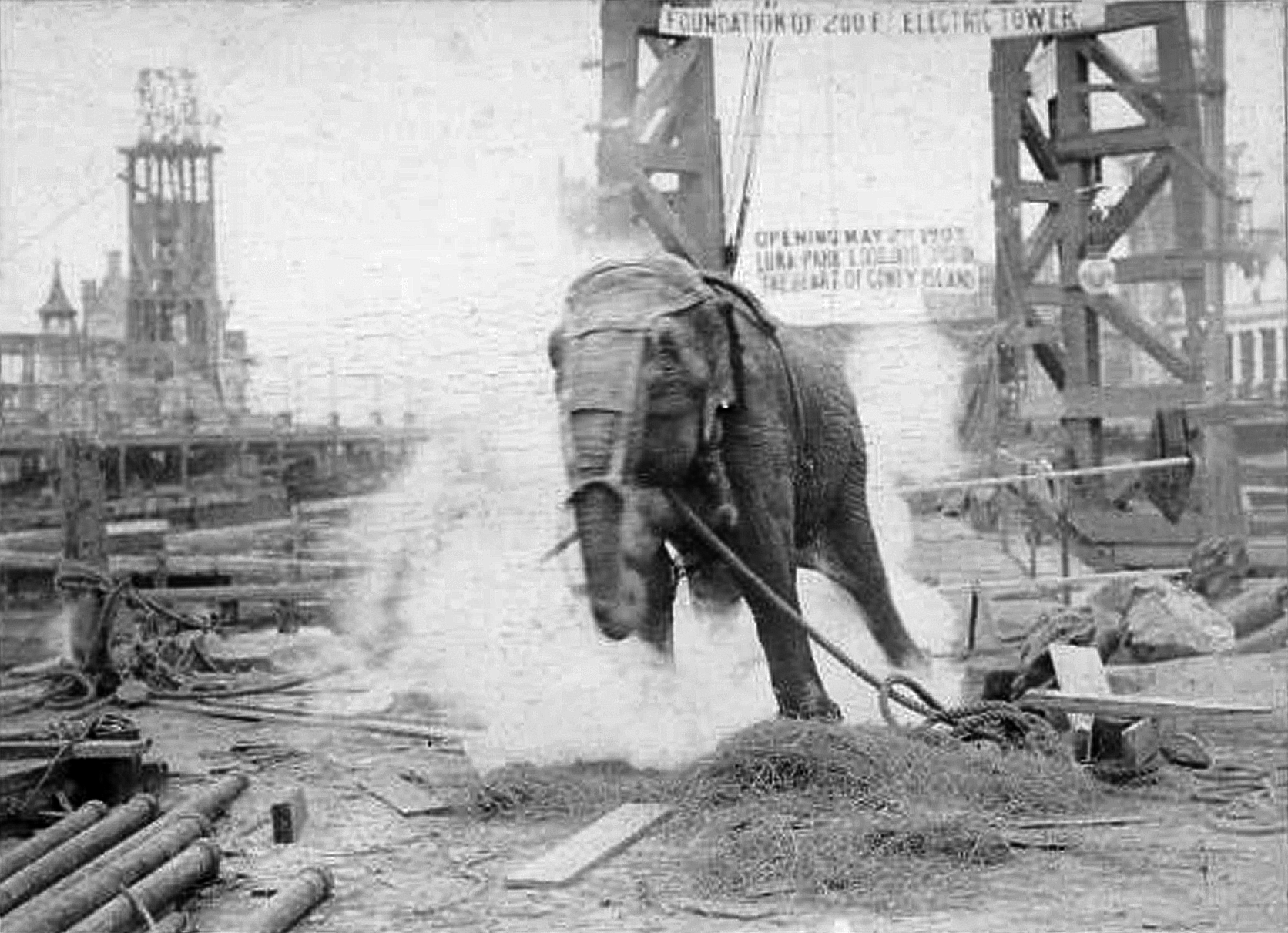 Topsy_elephant_death_electrocution_at_luna_park_1903.png