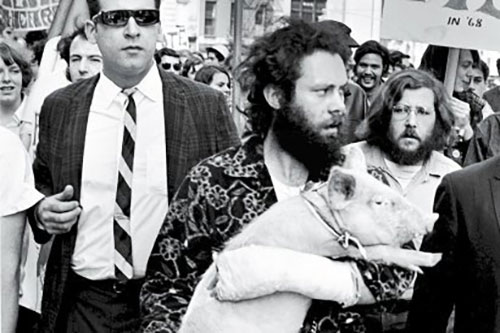 Pigasus es paseado en manifestación.
