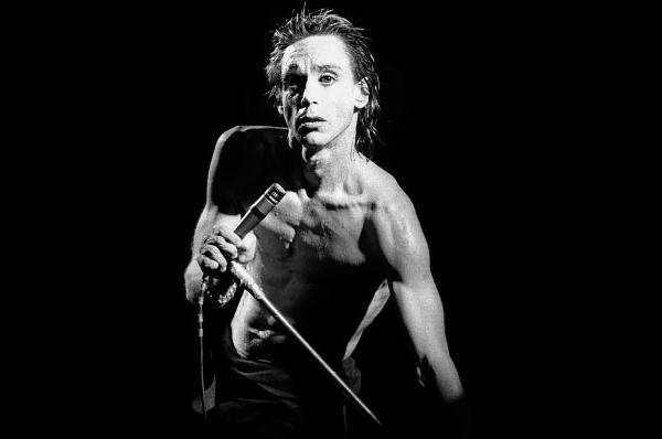 Iggy Pop en 1978