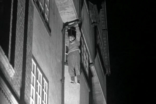 night climbers 3.jpg