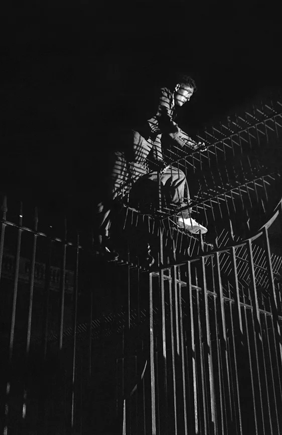 night climbers 10.jpg