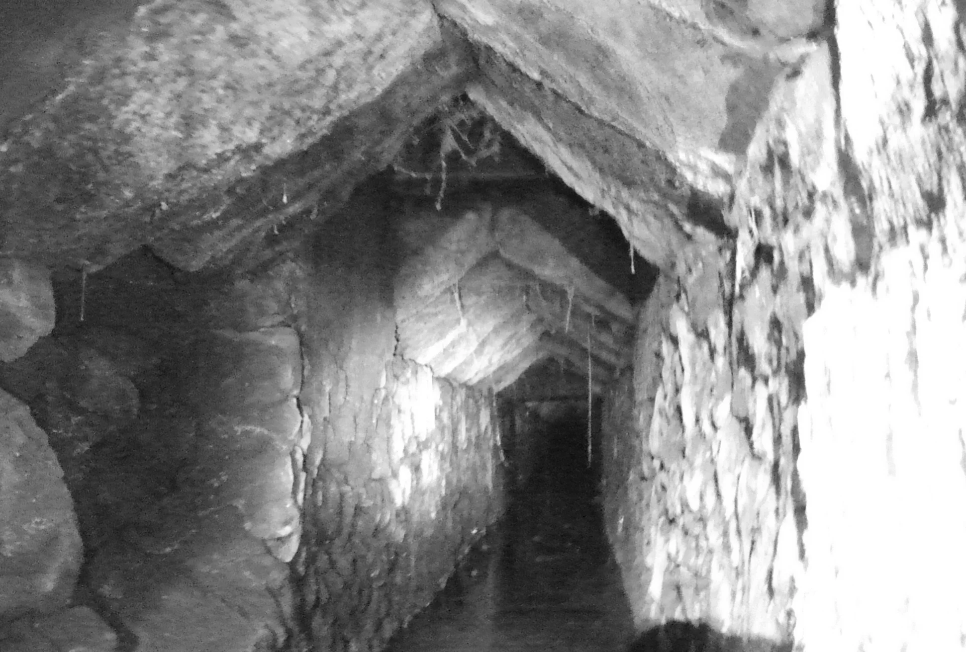 A diez metros bajo tierra: los exploradores del mundo subterráneo