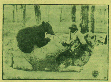 El oso sobre el camello. Fotografía de Marín para «Los auténticos vagabundos» (febrero de 1926)
