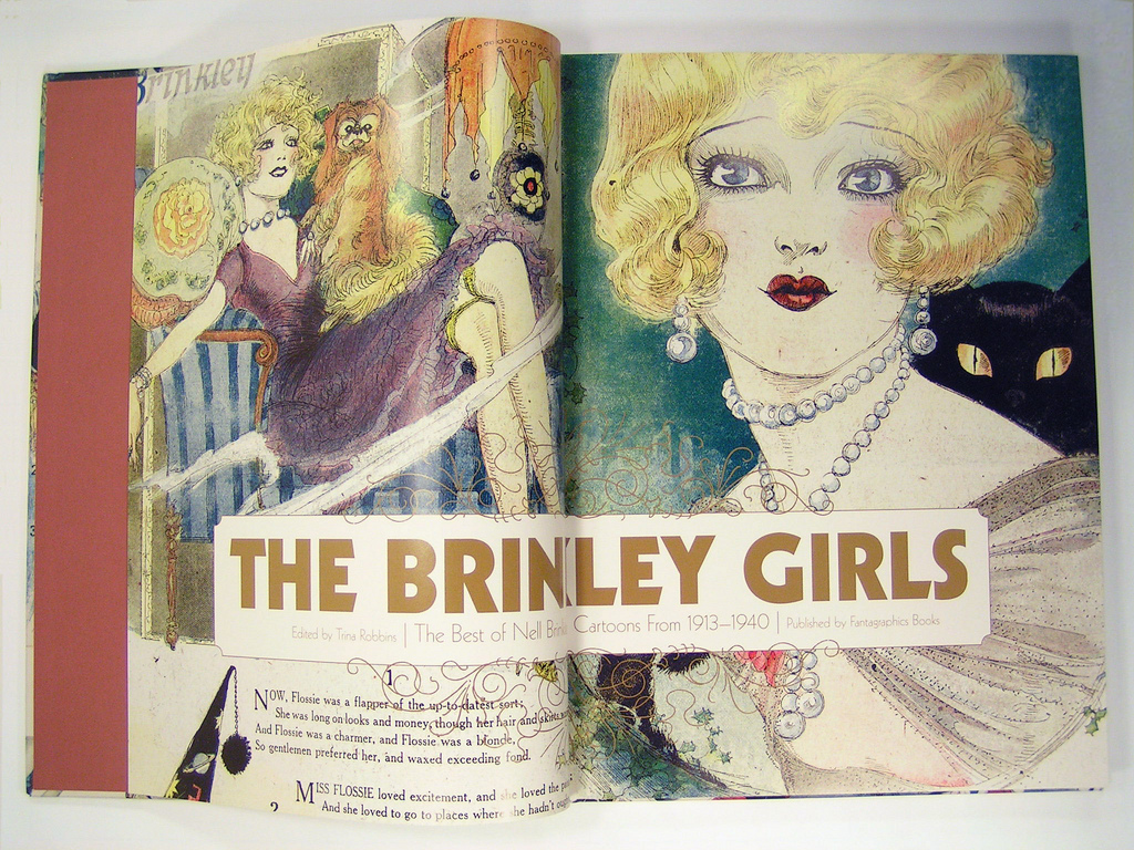 The Brinkley Girls, The Best of Nell Brinkley's Cartoons from 1913-1940