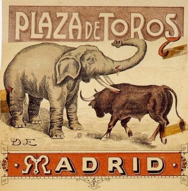 Cartel del combate entre un toro y un elefante (circa 1897)