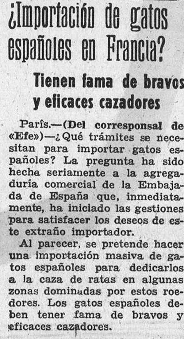 prensa_0111.jpg