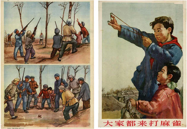 DOS EJEMPLOS DE PROPAGANDA ANTIGORRIONES BAJO EL LEMA: «Todo el mundo debería venir a luchar contra los gorriones» (1956).  Originales de Bi Cheng. Imagen: Instituto Internacional de Historia Social de China / Colección Stefan R. Landsberger.