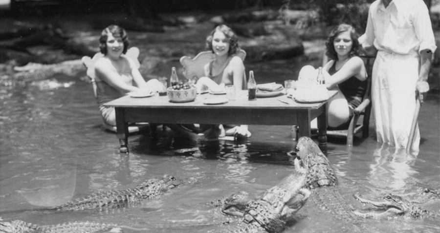 dining-gators.png