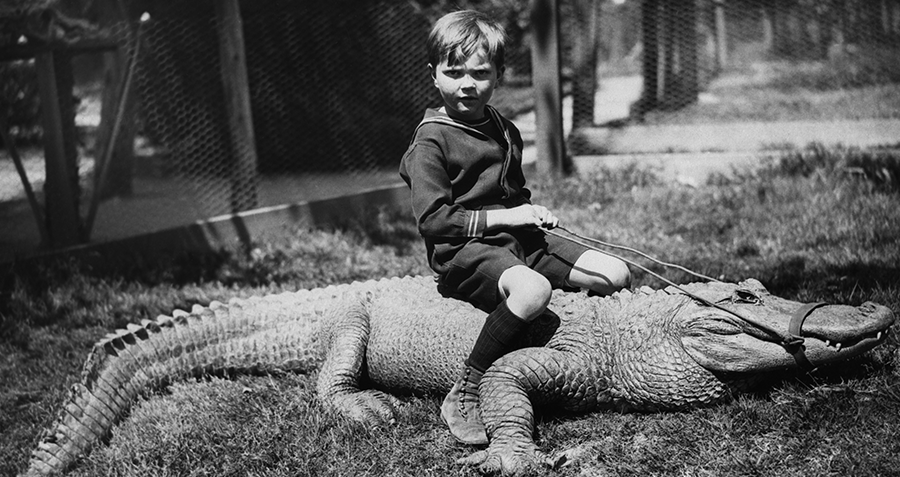 boy-rides-gator.png