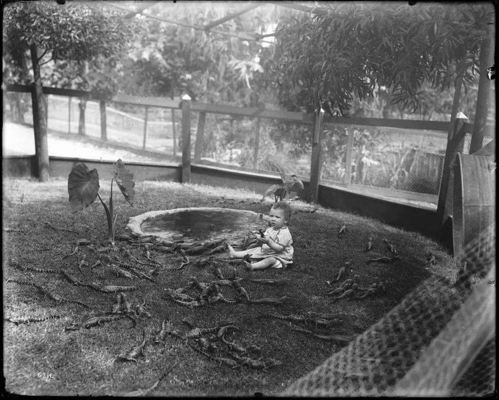 baby-with-alligators-1024x820.jpg