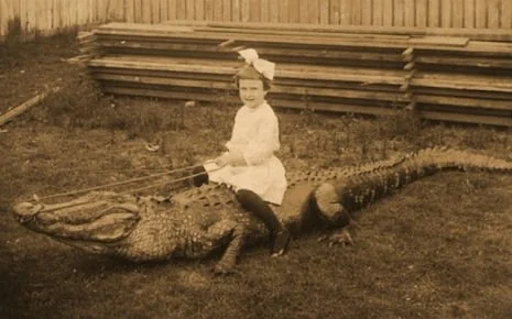 sociallittle_girl_riding_alligator_465_290_int.jpg