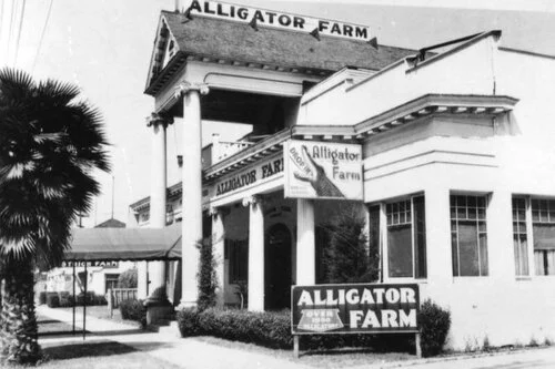Alligator_Farm_building_exterior+-+LAPL+-+Date+unknown.jpg