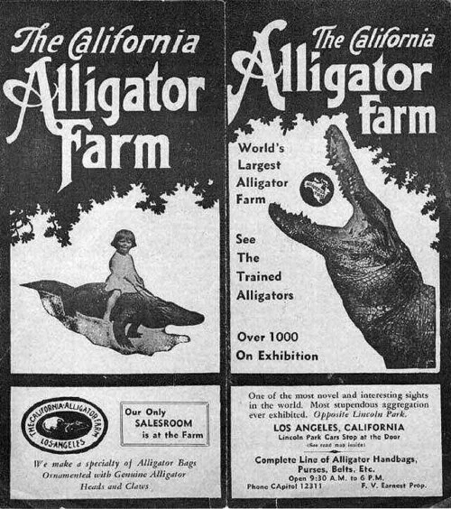 Farm+Brochure+-+Ken+Earnest+via+Wayback+Machine.jpg