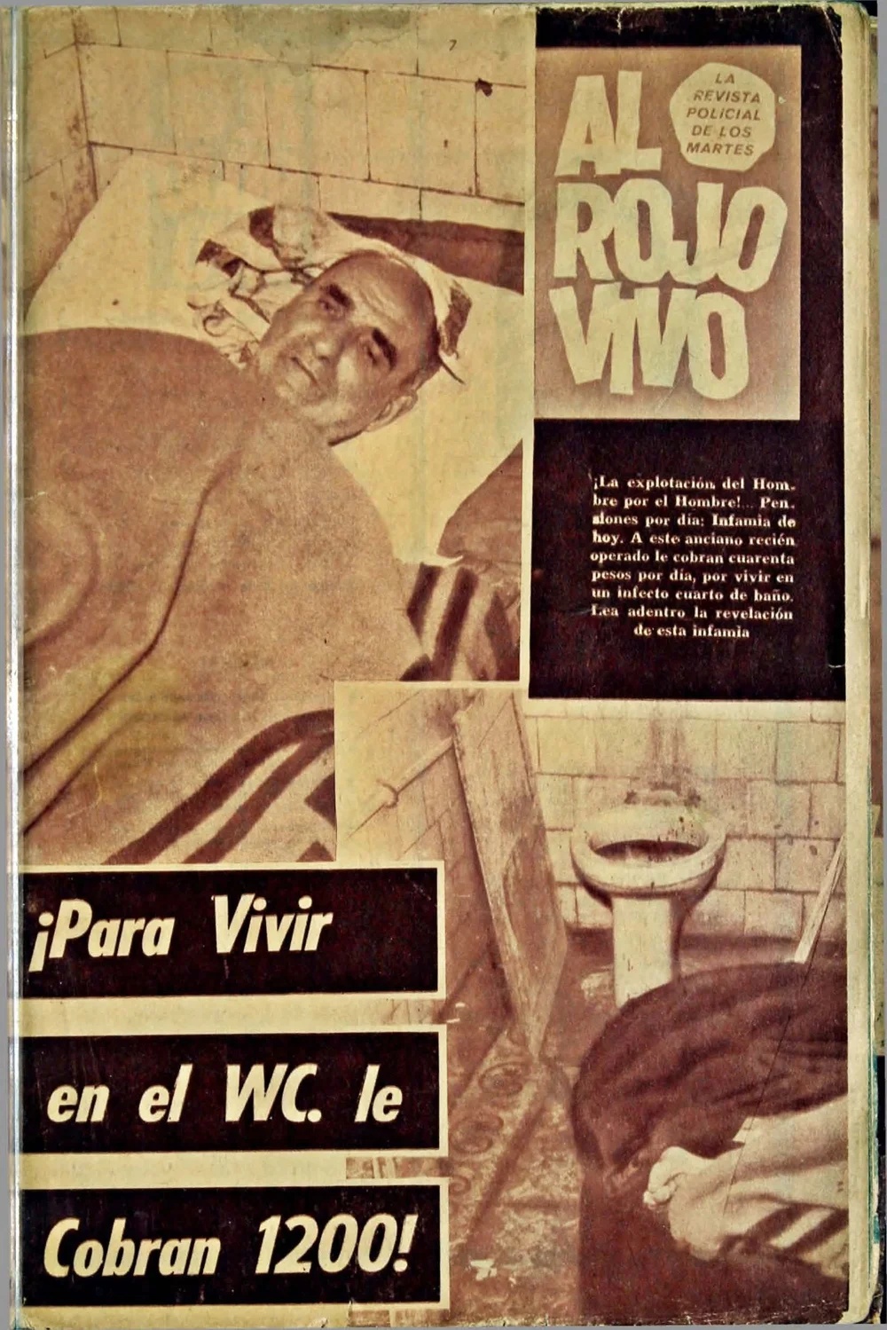 portada_malvivir.jpg