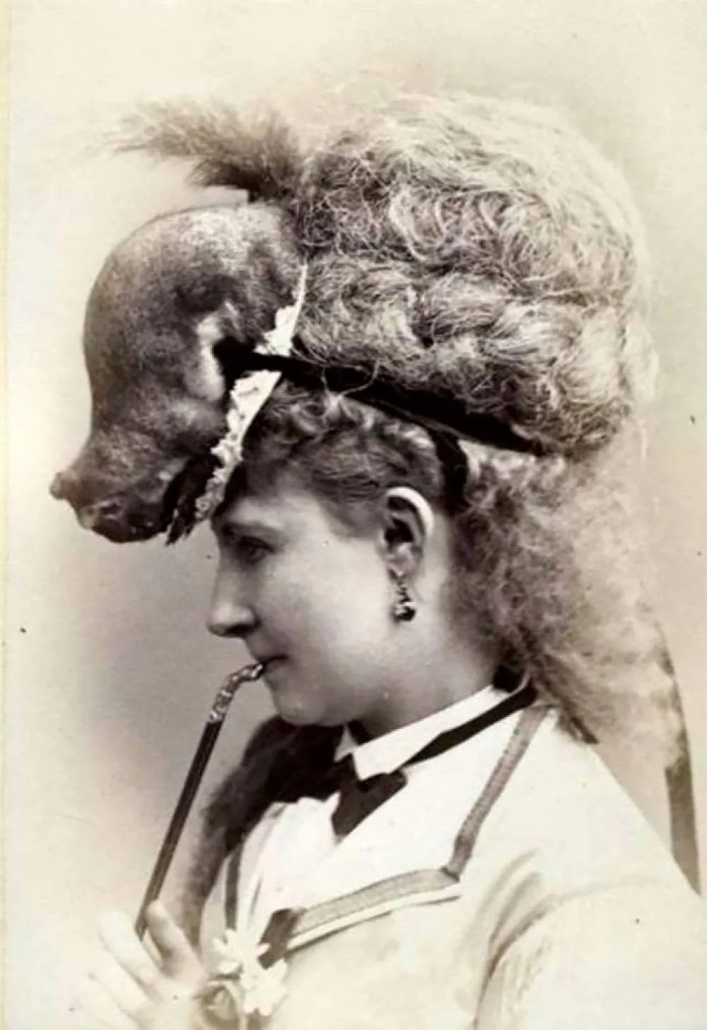 A finales del siglo XIX, la moda victoriana puso animales disecados en los sombreros, sobre todo pájaros
