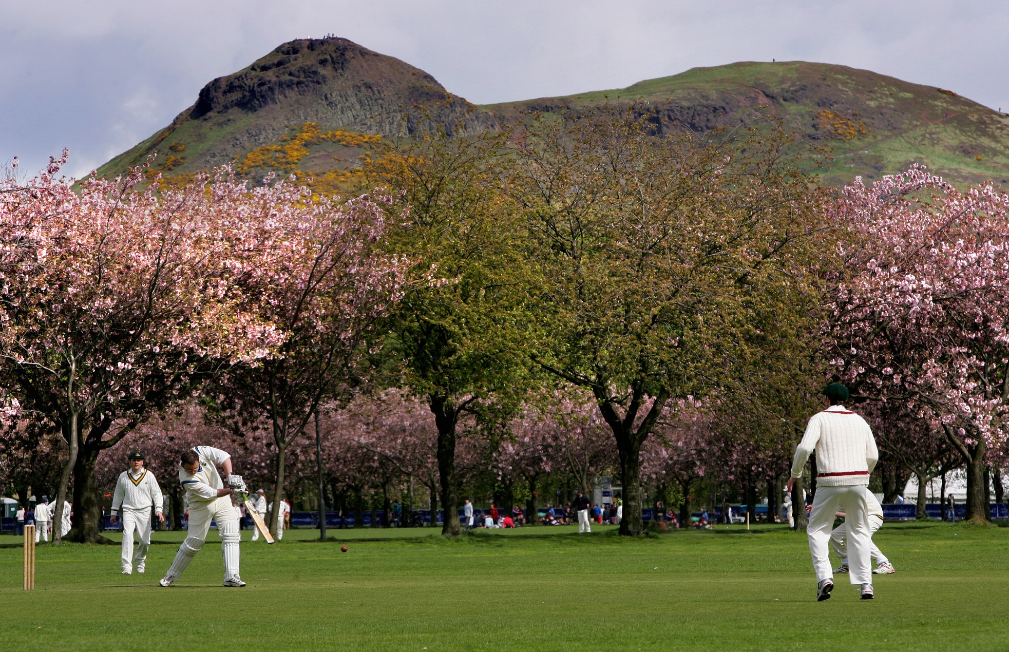 The Meadows, with Arthur's Seat in the background/Photo: This is Edinburgh