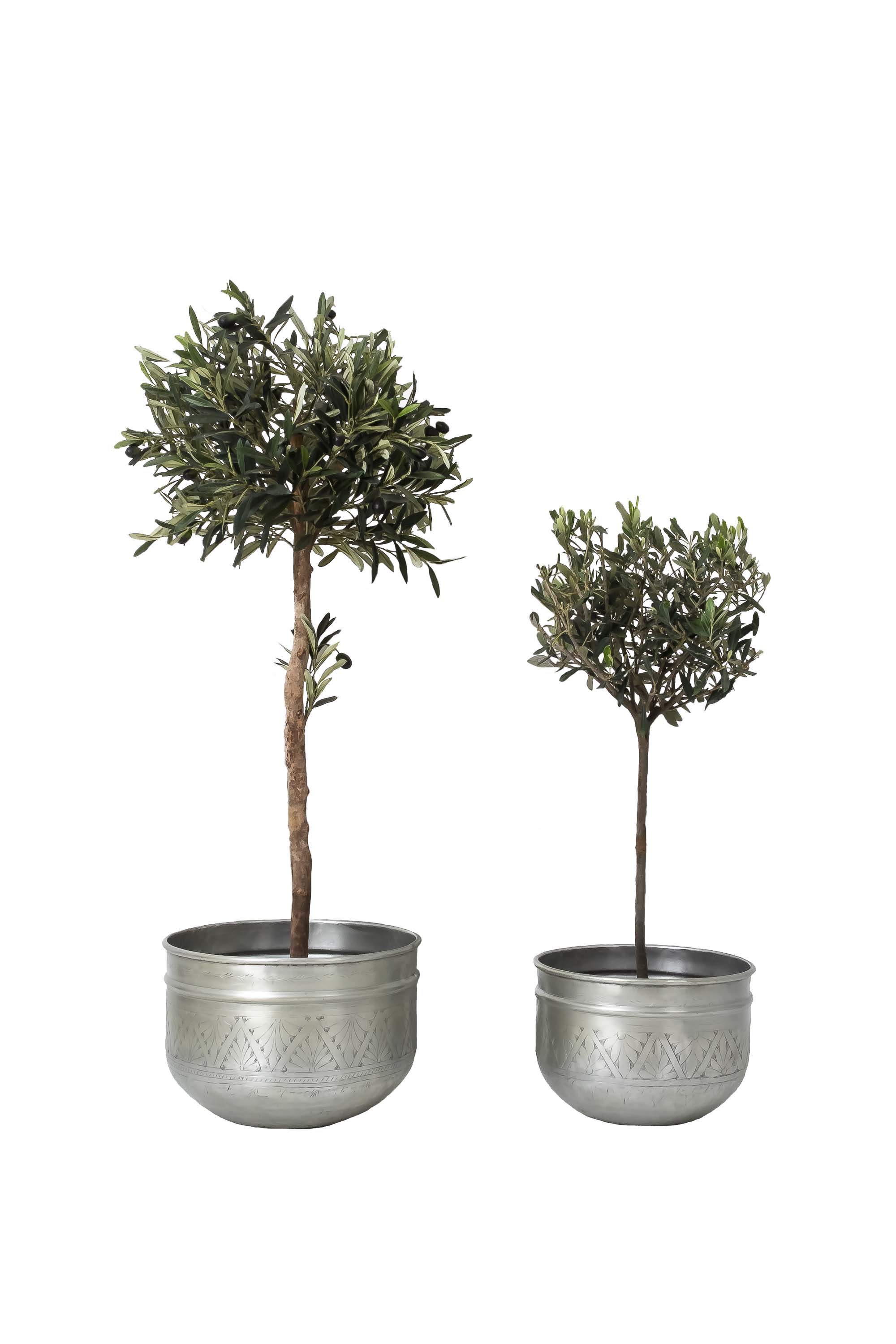 India May Home planters