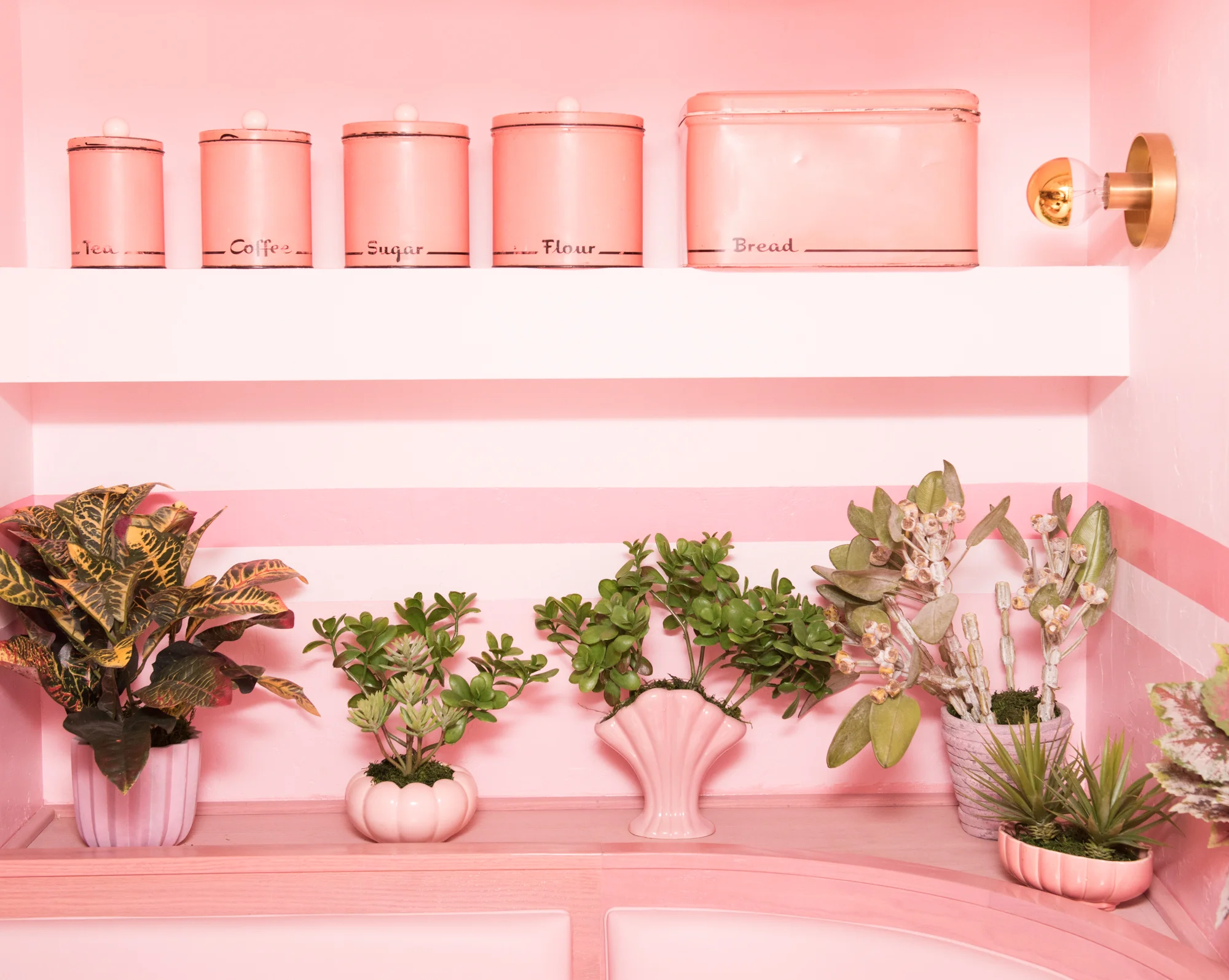 Plants at Pietro Nolita/Photo: Jake Rosenberg for The Coveteur