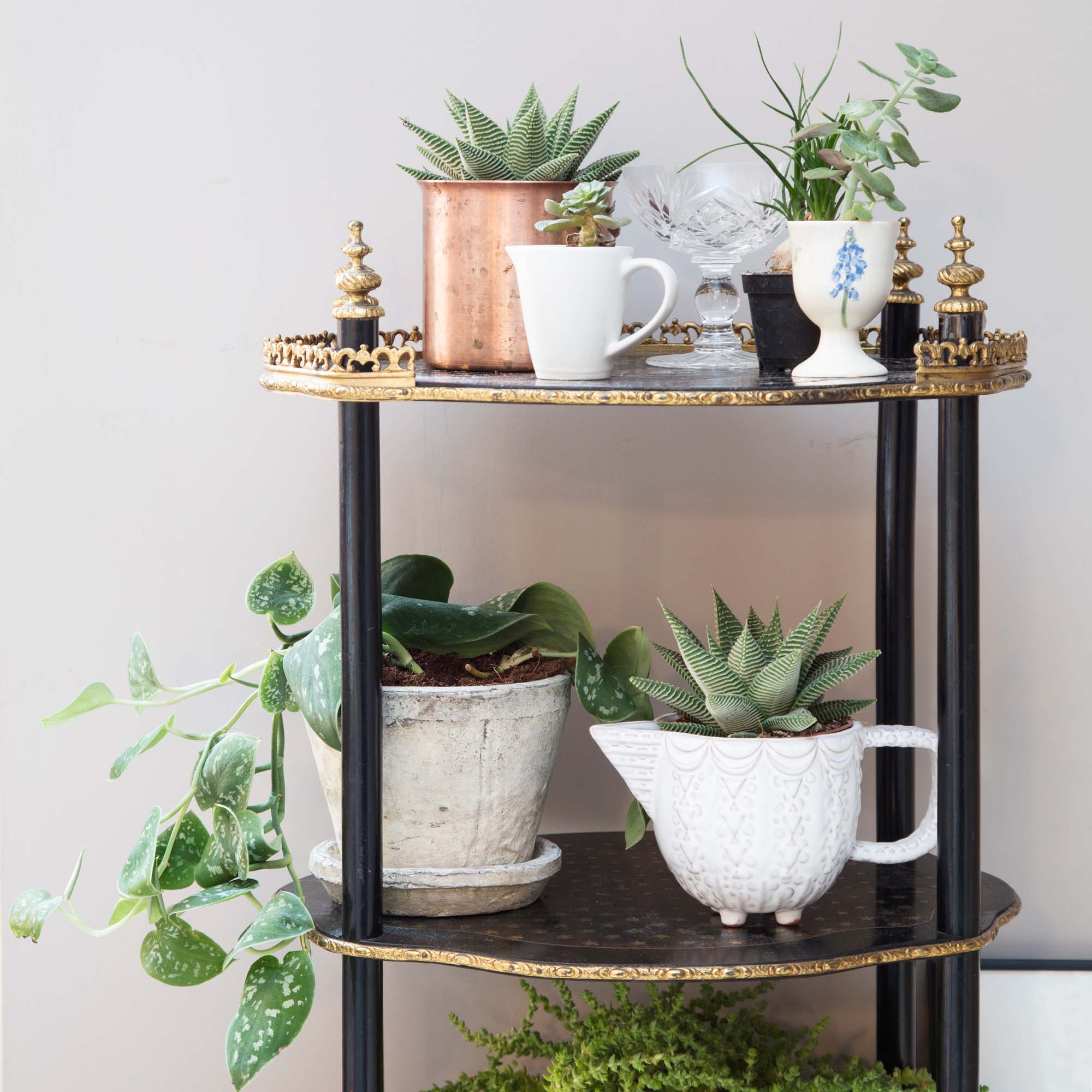 Eleanor Horwell from @ehd_loves gets all planty in her home/Photo: Susie Lowe