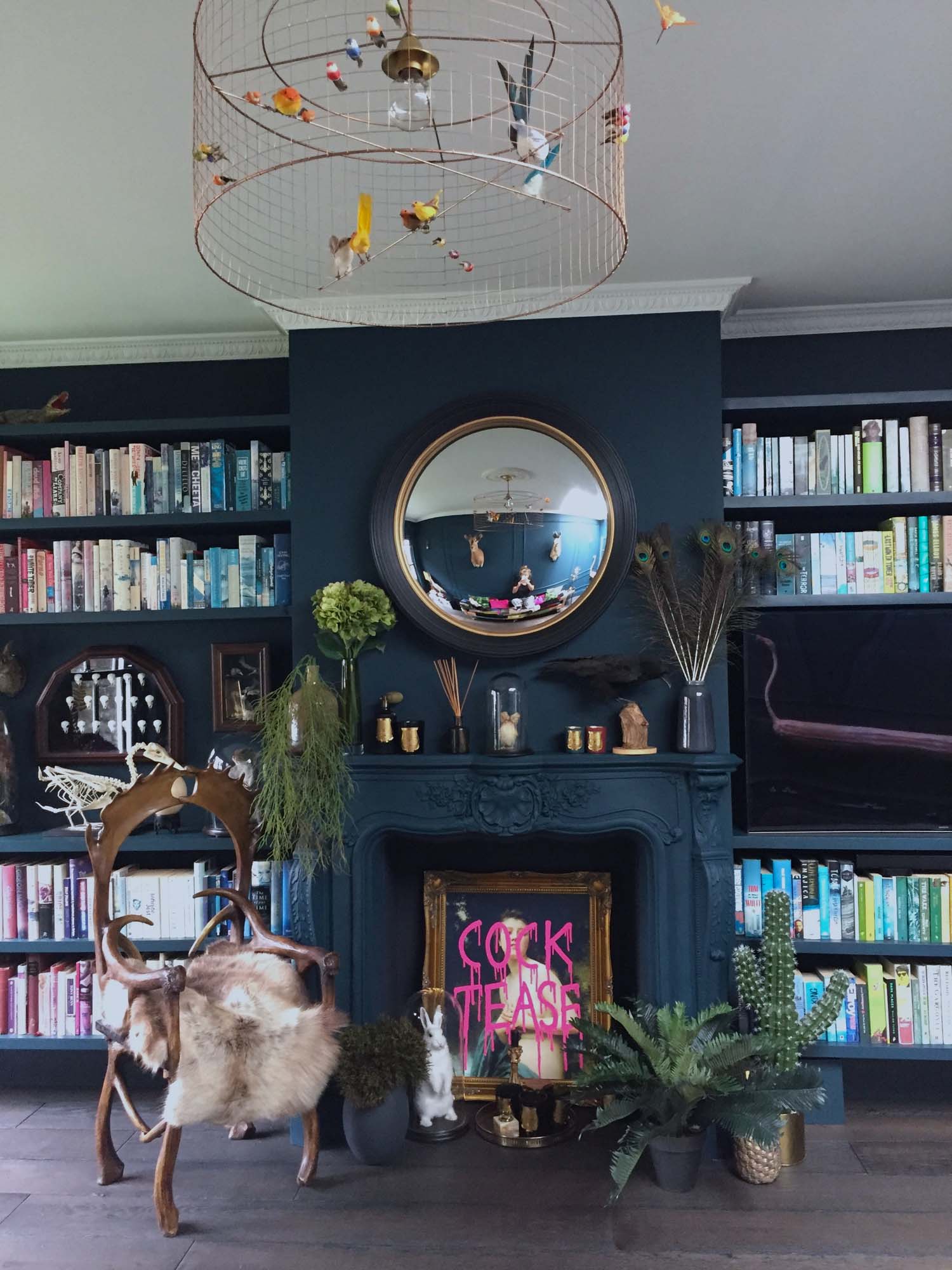Dark blue living room with colour coded bookshelf