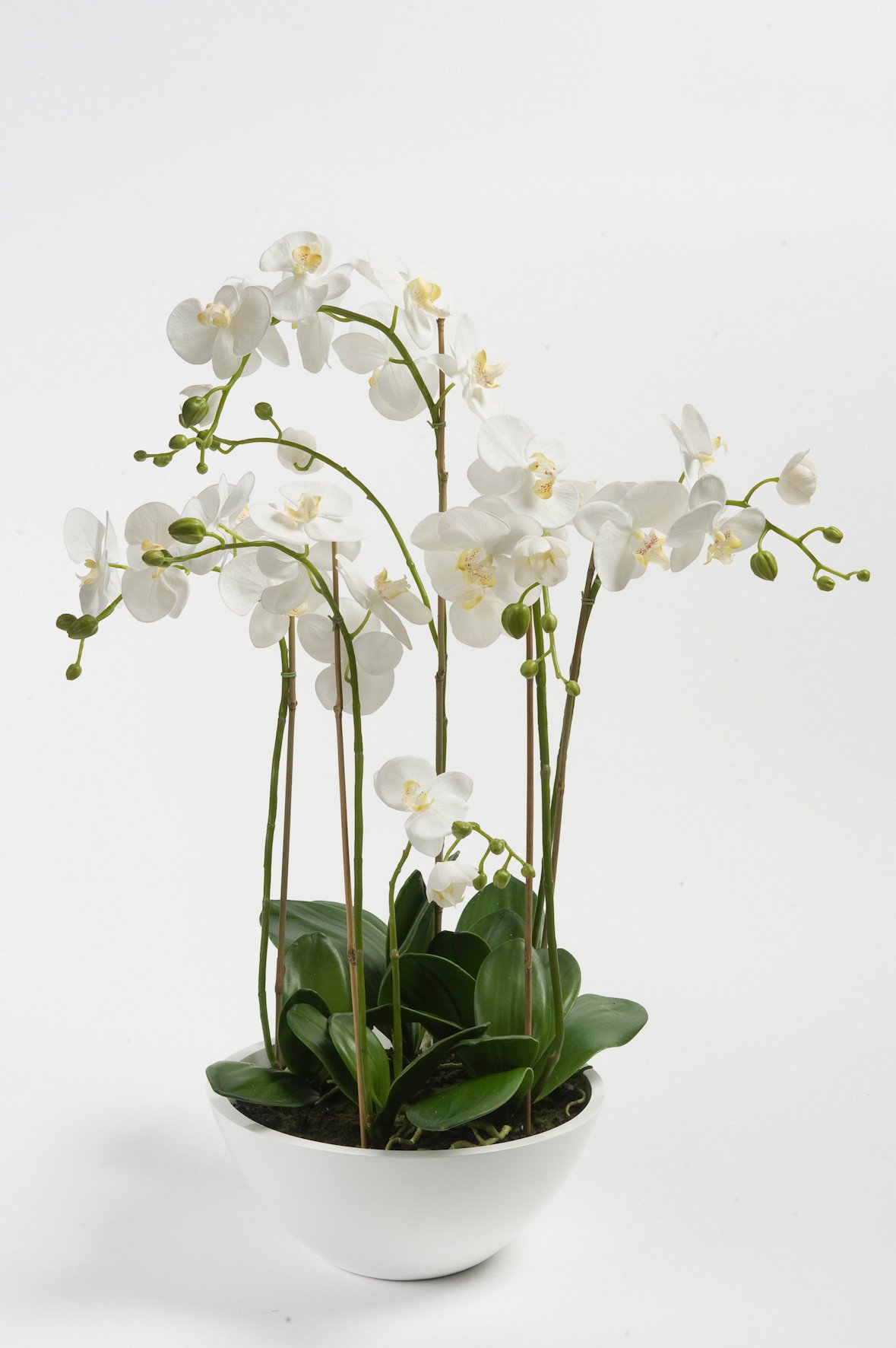 Pad white faux orchids in a bowl