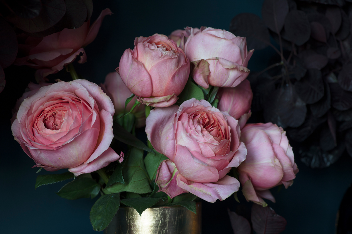 Pale pink roses as Christmas decorations