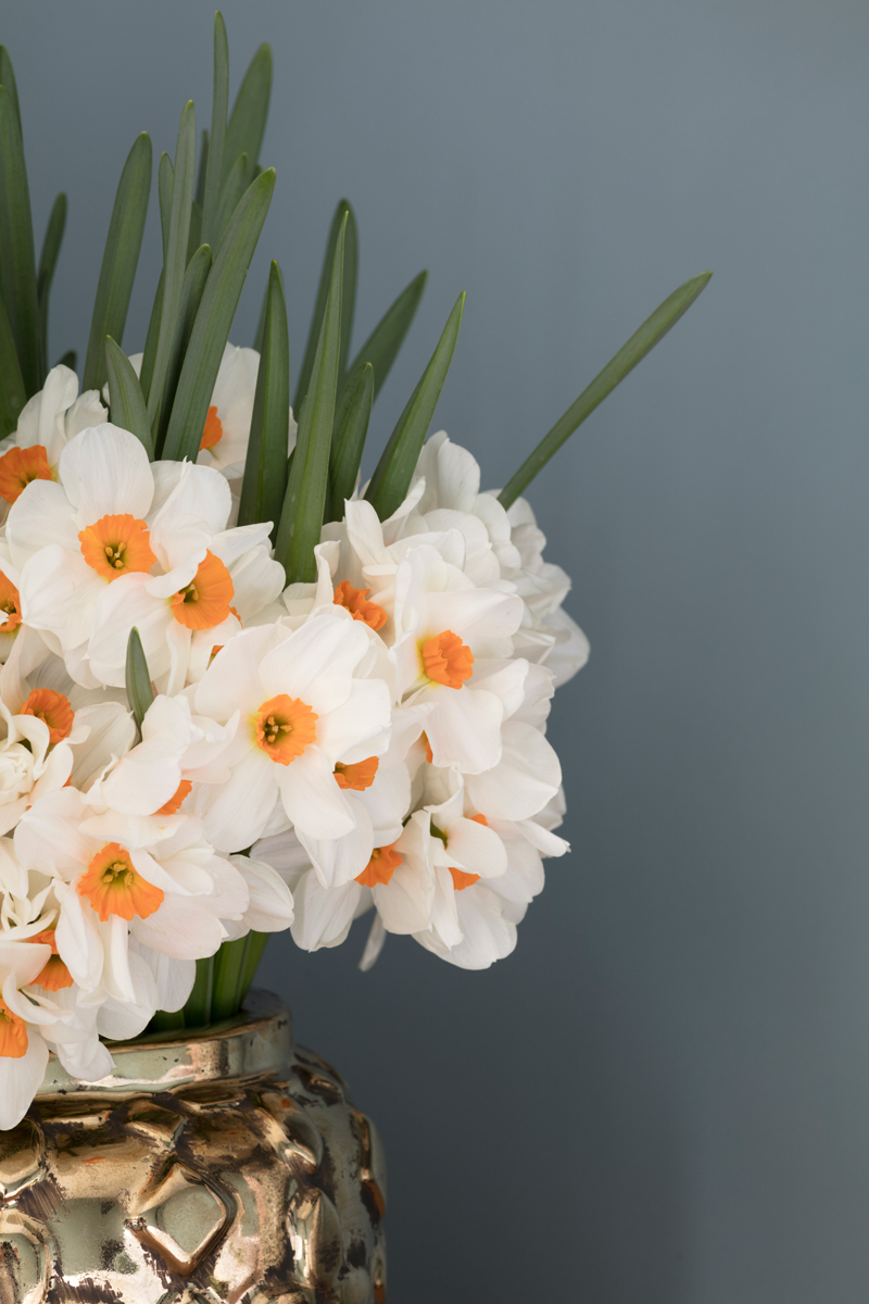 Narcissus flower arrangement by Hayford & Rhodes