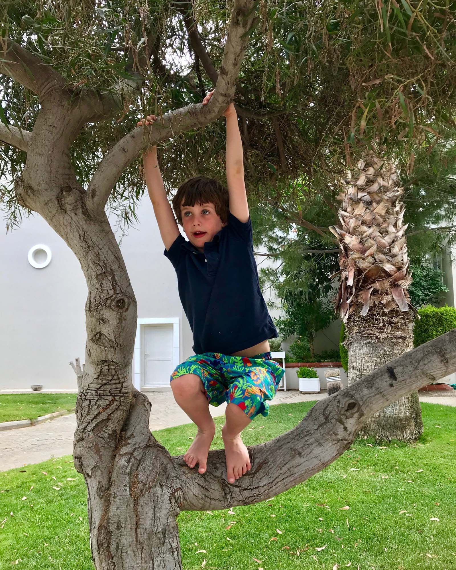 Zac up one of the many trees in the Phokaia resort. Yes that's chocolate round his mouth