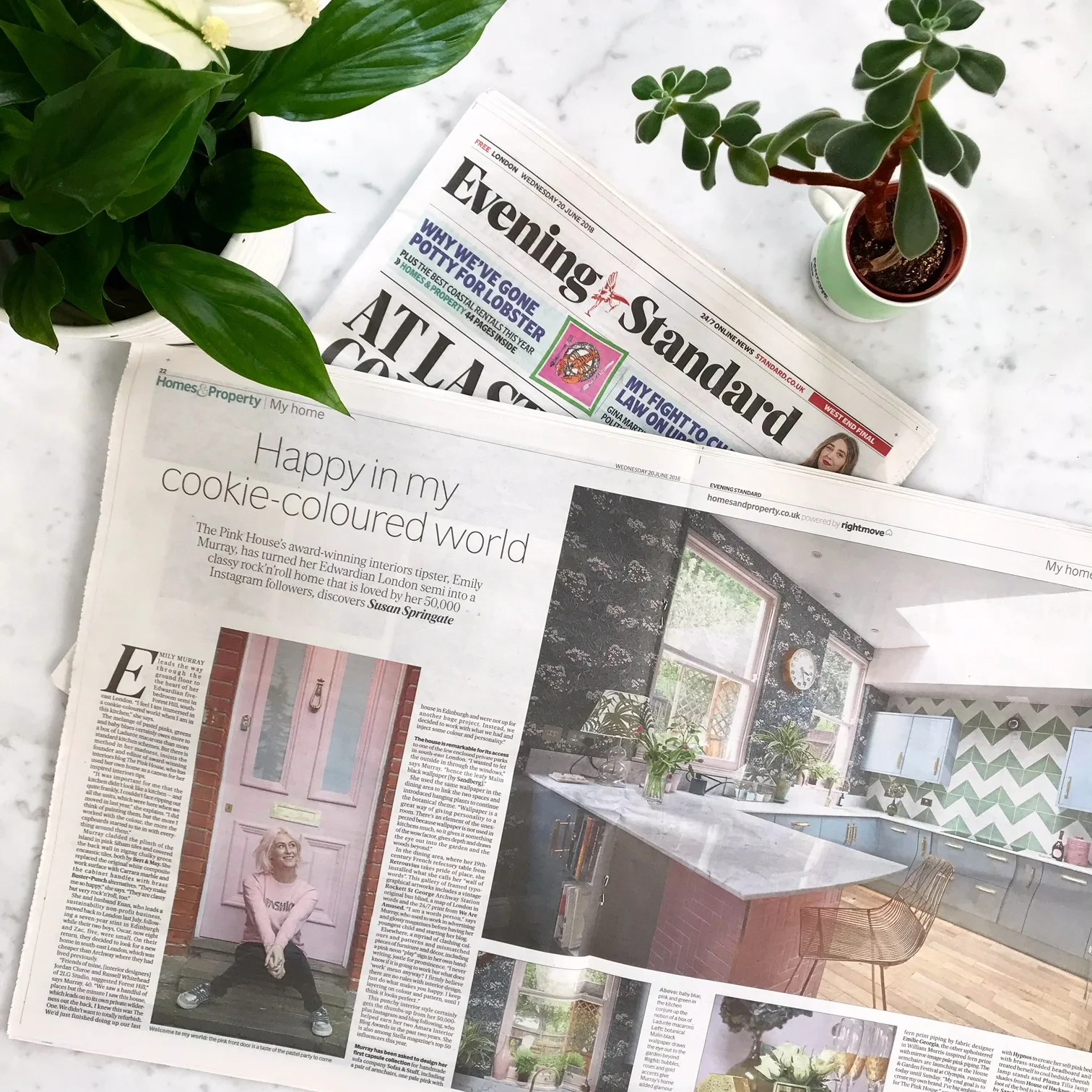 The Pink House in the Evening Standard