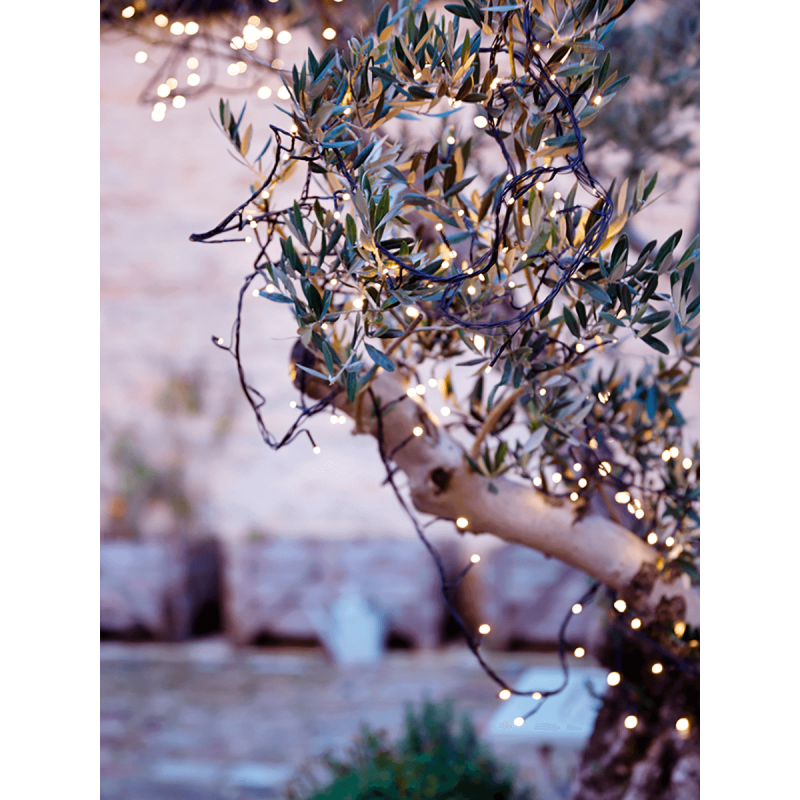 The best outdoor string lights fairy lights for your garden