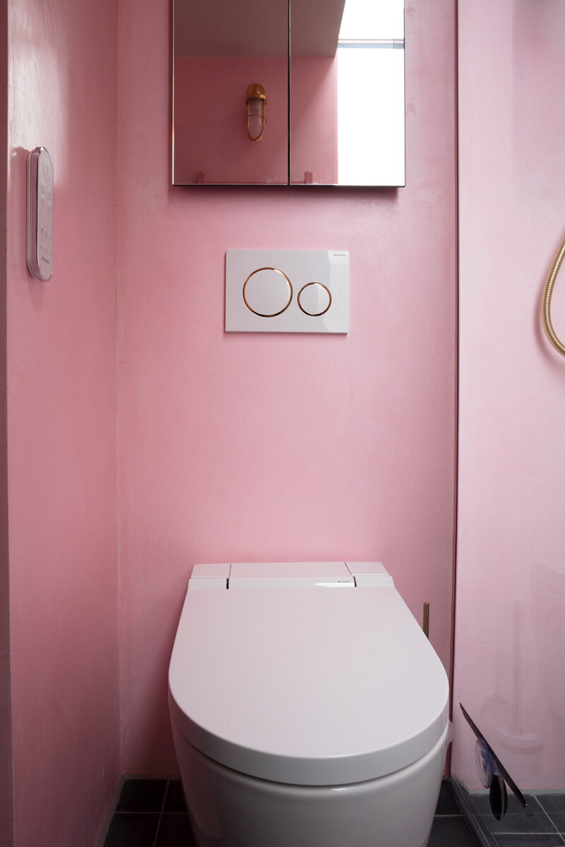 Wall hung Geberit AquaClean Sela shower toilet in The Pink House