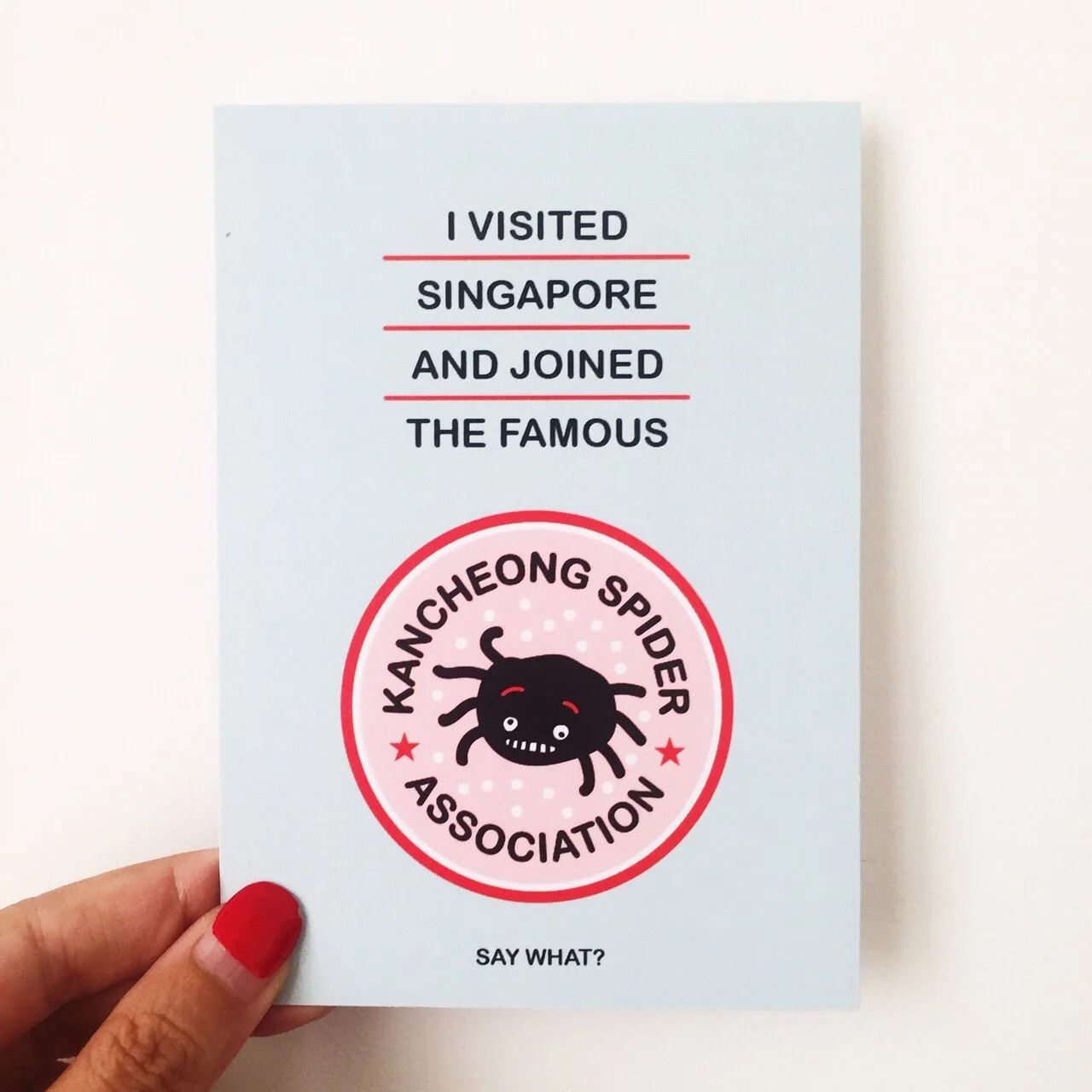 KANCHEONG SPIDER POSTCARD.JPG